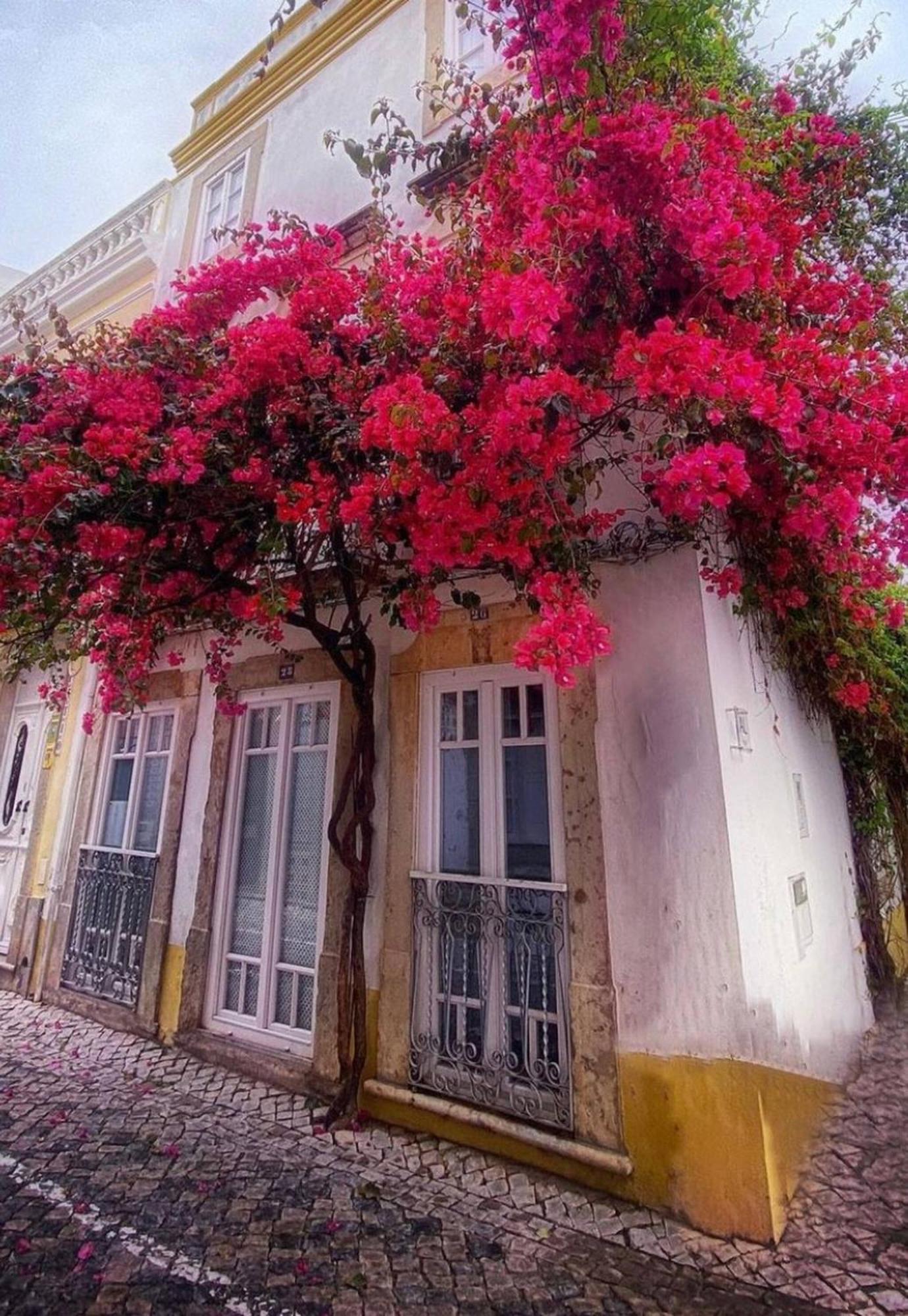 Chic Suite Sequa In Taviras Historical Centre Экстерьер фото
